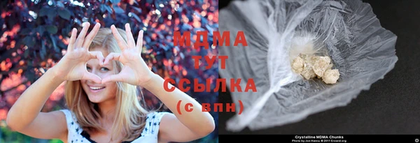 амф Гусь-Хрустальный