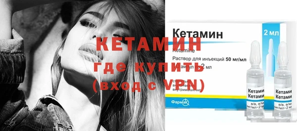 амф Гусь-Хрустальный