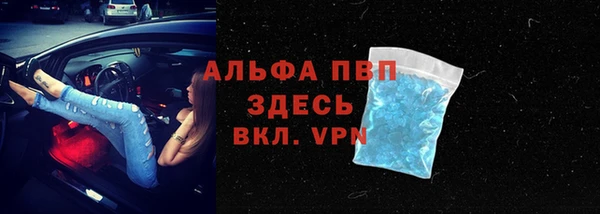 амф Гусь-Хрустальный