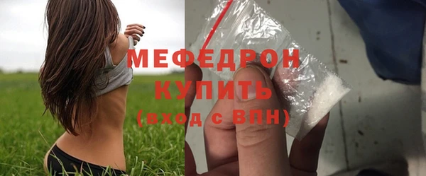 амф Гусь-Хрустальный