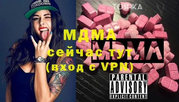 амф Гусь-Хрустальный