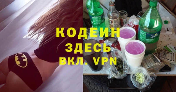 МДПВ Гусев