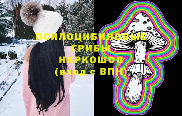 мдпв Гусиноозёрск