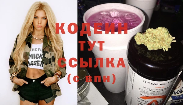 МДПВ Гусев