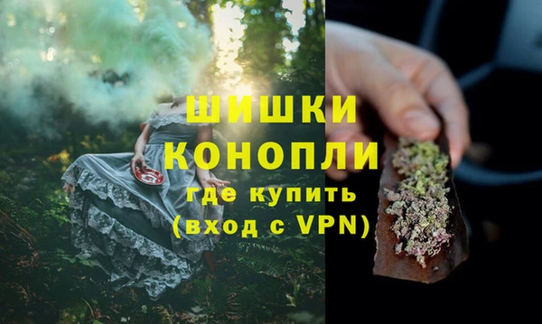 МДПВ Гусев