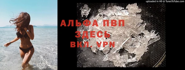 амф Гусь-Хрустальный