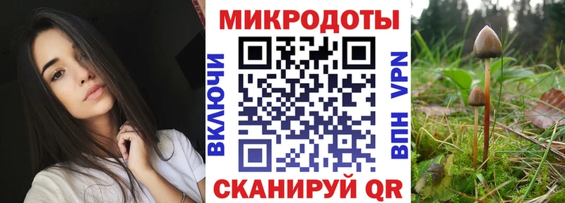 Псилоцибиновые грибы GOLDEN TEACHER  Купить где  Тобольск 